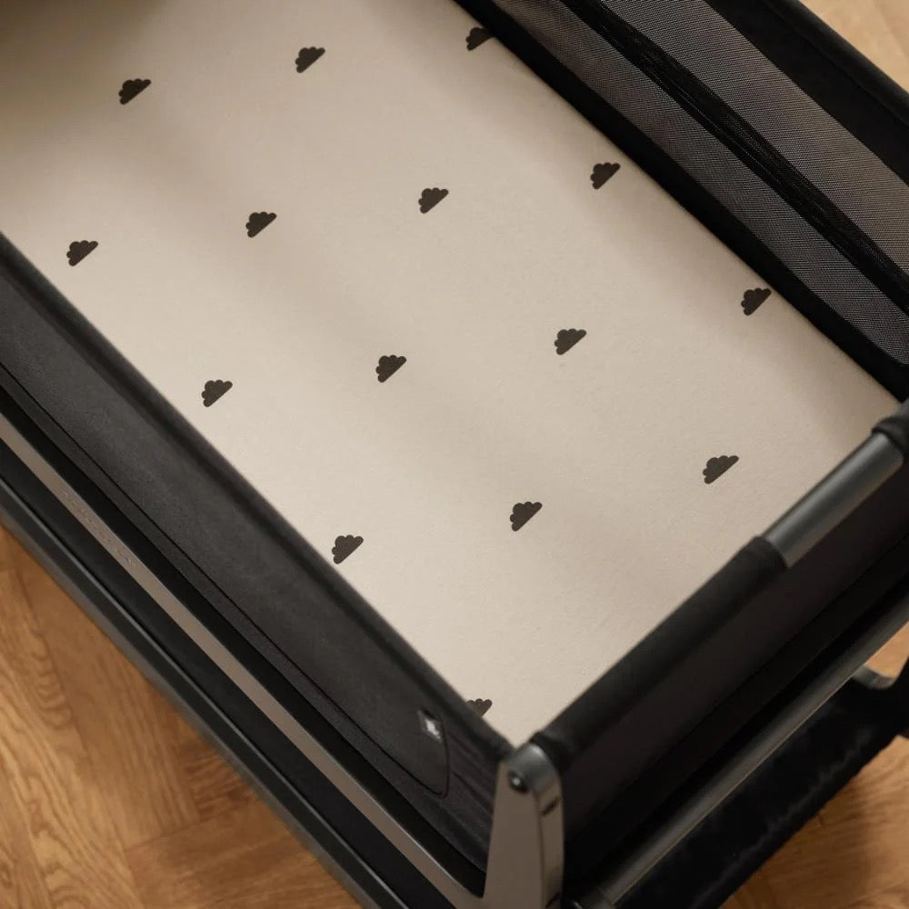 EGG 3 JANUARY BUNDLE